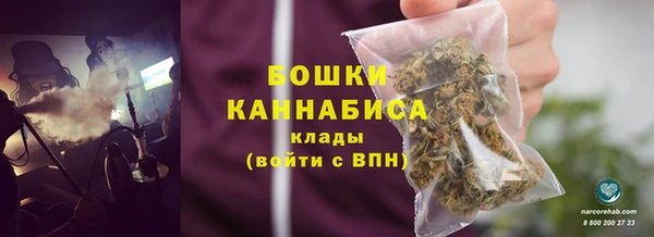 шишки Балабаново